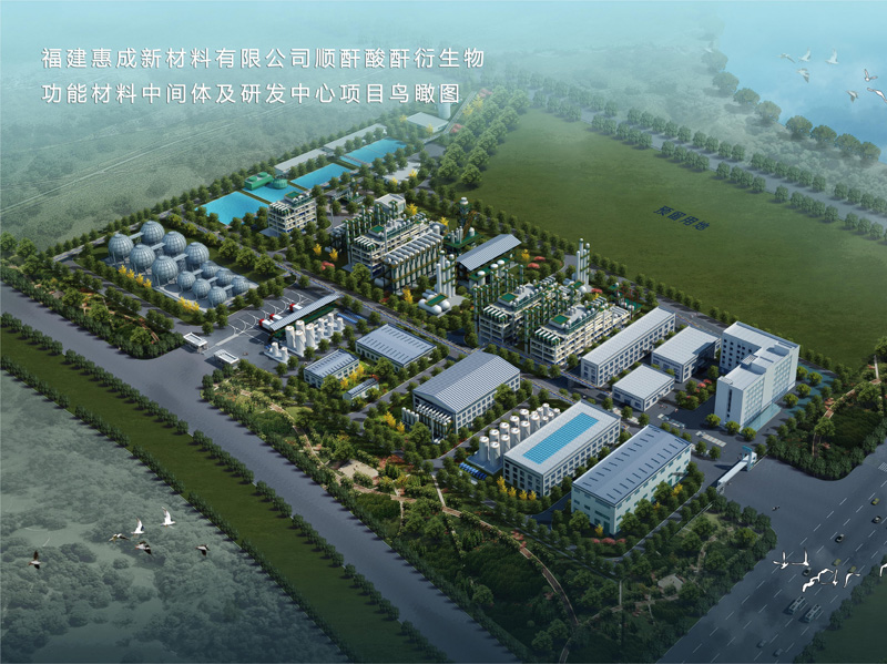 公司实力